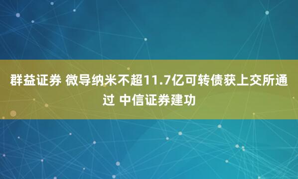 群益证券 微导纳米不超11.7亿可转债获上交所通过 中信证券建功