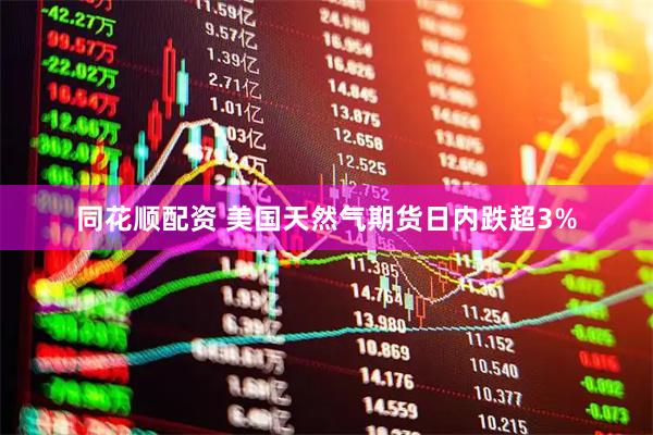 同花顺配资 美国天然气期货日内跌超3%