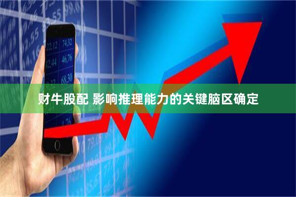 财牛股配 影响推理能力的关键脑区确定