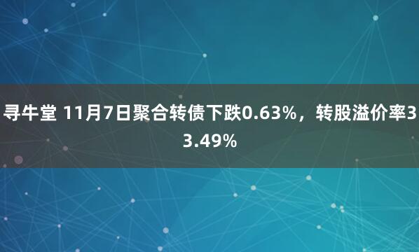 寻牛堂 11月7日聚合转债下跌0.63%，转股溢价率33.49%