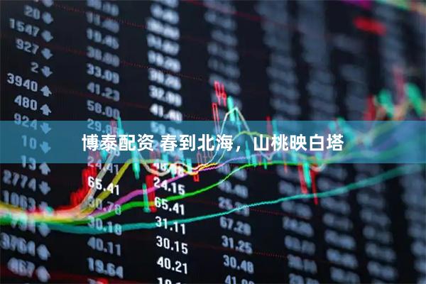 博泰配资 春到北海，山桃映白塔