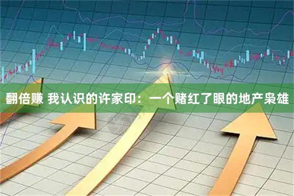 翻倍赚 我认识的许家印：一个赌红了眼的地产枭雄
